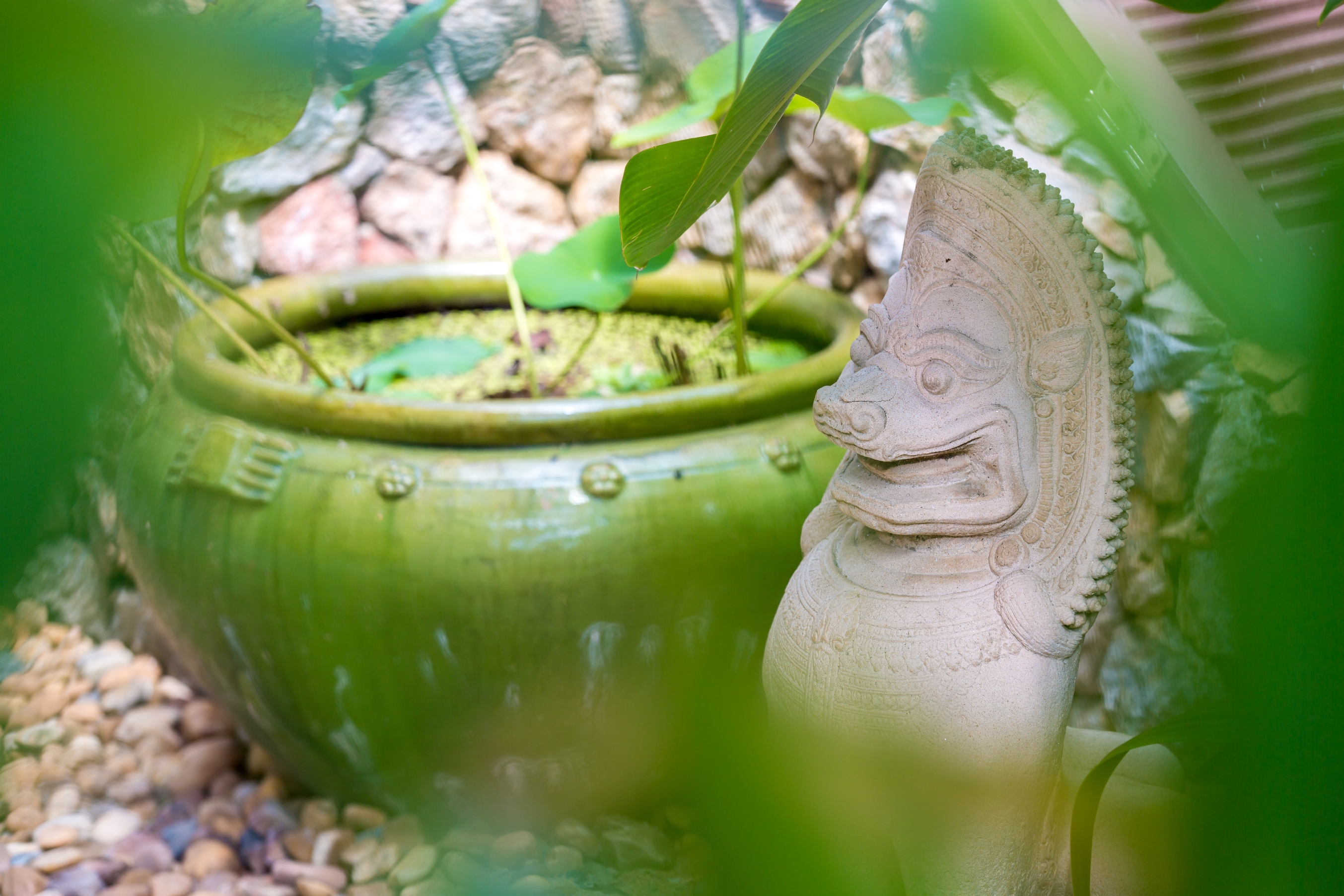 Baan Buua